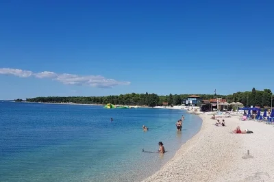 Partez de pula pour une balade en bateau vers les îles de brijuni avec déjeuner, boissons à volonté et une longue pause baignade à la plage de fažana. guide local et saveurs istriennes au rendez