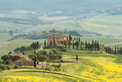 Tour privado de comida e vinho em val d'orcia saindo de siena. deguste vinhos brunello, massa caseira, queijo pecorino, azeite e vinagre balsâmico em uma casa local.