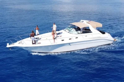 Scopri tulum e playa del carmen con un tour privato in yacht da puerto aventuras: snorkeling tra le barriere coralline, relax su spiagge tranquille e ceviche fresco con bevande incluse.