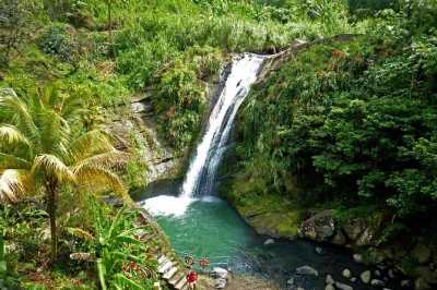 Swim at concord falls, taste fresh chocolate, sample old-style rum, and wander grand etang’s rainforest on a full-day grenada tour with lunch and hotel pickup.