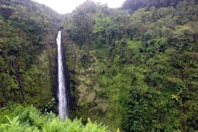 Découvrez les chutes d’akaka, marchez sur d’anciennes coulées de lave et admirez la caldeira du kilauea lors d’une journée inoubliable sur big island au départ de kona. navette et déjeuner 