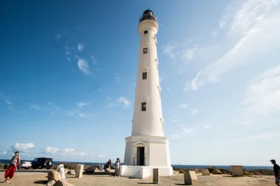 Feel aruba’s wild side—feed ostriches, wander gold mill ruins, visit the aloe factory, and see the california lighthouse. includes hotel pickup & local guide.