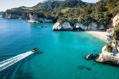 Explore cathedral cove em um passeio de barco de 2 horas saindo de whitianga, com vistas incríveis das falésias vulcânicas, grutas marinhas e vida marinha. coletes salva-vidas inclusos.