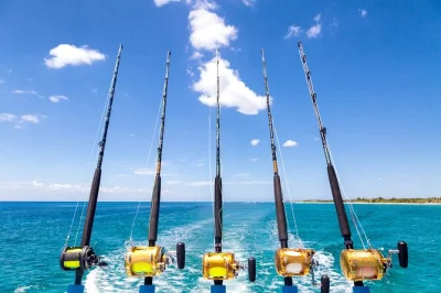 Feel the island rhythm on a maafushi sunset fishing tour with private guide, handline catch, and bbq dinner. includes hotel pickup and drop-off for easy booking.