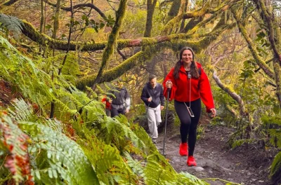 Scopri l’aria fresca delle montagne di anaga a tenerife, cammina nella foresta incantata, gusta un picnic con sapori locali e ricevi foto digitali—con trasporto incluso.
