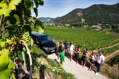 Scopri la valle della wachau da vienna: degustazioni di vini locali, visita a dürnstein e crociera sul danubio. guida, assaggi e trasporto comodo inclusi.