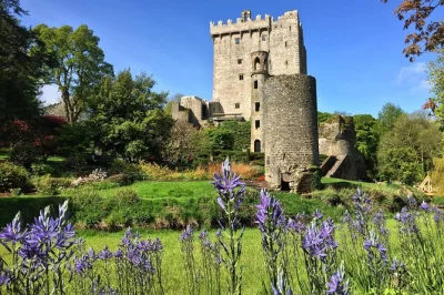 Découvrez le château de blarney, flânez dans les rues animées de cork et savourez les fruits de mer de kinsale, le tout en une journée depuis votre navire, avec histoires locales et entrée inclu