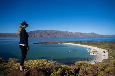 Nuota con leoni marini, avvista delfini e rilassati sulle spiagge bianchissime di coronado island vicino a loreto. pranzo, bevande e attrezzatura da snorkeling inclusi per una giornata perfetta.