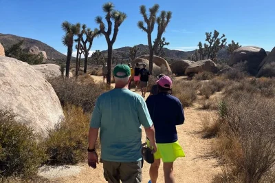 Scopri i paesaggi unici di joshua tree, arrampicati su massi antichi e goditi viste mozzafiato sulla coachella valley in un tour privato di 4 ore con guida e snack inclusi.