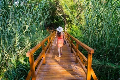 Siente la frescura de las cascadas de krka, navega por el río, nada en primošten y relájate con una cata de vinos. incluye guía local, paseo en barco y recogida flexible.