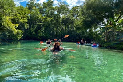 Descubre manatíes, tortugas y delfines de cerca en un tour en kayak transparente por weeki wachee. remar río arriba con guía local, incluye equipo y fotos.