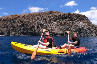 Start your tenerife adventure kayaking along wild cliffs, then snorkel with turtles and spot dolphins—guided, all gear included, family-friendly, year-round.