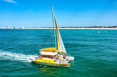 À panama city beach, admirez les dauphins sauvages depuis un catamaran de 12 mètres, savourez une boisson offerte et détendez-vous au son de la musique avec nos guides locaux. embarquement facile e
