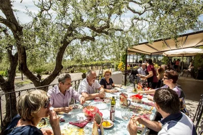 Scopri i vini locali e un pranzo mediterraneo sulle pendici del vesuvio, con passeggiate tra i vigneti, racconti della guida e transfer da napoli inclusi.