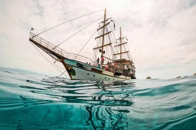Parta de kos para kalymnos, pserimos e platy num iate de madeira, com observação de golfinhos, paradas para banho, degustação de mel local e almoço grego. Áudio guia incluso.