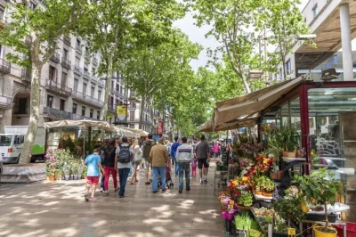 Découvrez le quartier gothique de barcelone avec un guide privé, entre ruines romaines, ruelles juives et places médiévales. histoires locales et rythme adapté au groupe.