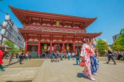 Descubra tóquio do templo senso-ji ao mercado tsukiji com motorista particular, pickup no hotel e roteiro flexível. aproveite mais e sem estresse.