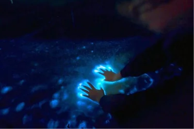Watch sunset at los arcos from a boat, then swim with glowing bioluminescent plankton. includes snacks, drinks, snorkeling gear, and local guide pickup options.
