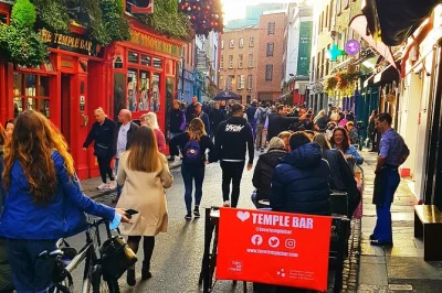 Scopri la storia di dublino con un tour privato a piedi da trinity college a temple bar, tra racconti locali, statue e ritmo personalizzato. guida inclusa e consigli per famiglie.