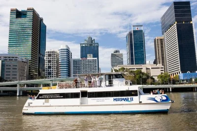 Erlebe eine entspannte flussfahrt von brisbanes southbank zum lone pine koala sanctuary, triff koalas und kängurus hautnah, inklusive eintritt und rückfahrt per boot.
