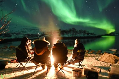 Feel the arctic night on a tromso northern lights hunt, with bonfire, marshmallows, local soup, thermal suits, and pro photos. includes city hotel drop-off.