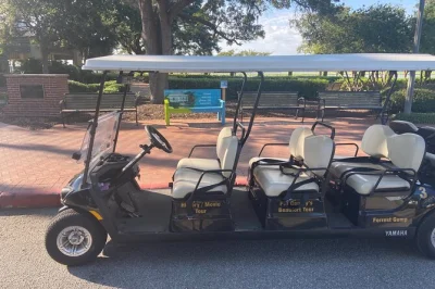 Feel the charm of beaufort on a golf cart tour, with movie sites, antebellum homes, and stories from a local guide. includes pickup and a sweet treat.