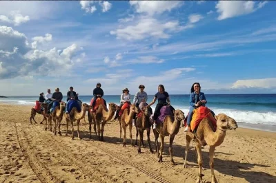 Feel the salt air at cap spartel, wander hercules cave, and ride camels on this tangier day trip—includes pickup, local guide, and drop-off in the old medina.