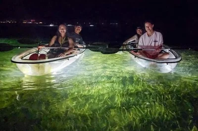 Découvrez sarasota de nuit en kayak transparent éclairé par led, observez la vie marine sous vos pieds grâce au fond en verre. guide local, filets à coquillages et balade paisible inclus.