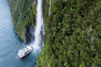 Milford sound, cascate spettacolari, avvistamento di delfini e foche, e pranzo fresco incluso in questo tour di un giorno con pullman premium da queenstown.