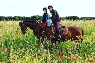 Feel the quiet of rome’s pinewoods on horseback, meet rescued horses, and ride past ancient ruins in ostia antica. includes guide, helmets, and food tasting.