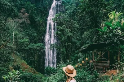 Start with a misty materuni waterfall hike, share chagga coffee and banana beer, then soak at kikuletwa hot springs—includes lunch, all fees, and private transport.