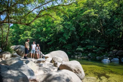 Descubre la antigua selva de daintree, navega por el río buscando cocodrilos, pasea por la playa de cape tribulation y disfruta un helado de frutas frescas, con recogida en cairns.