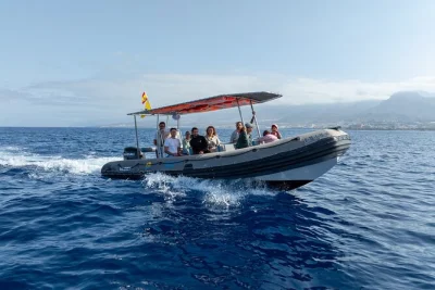 Feel the thrill of whale watching in tenerife on a private tour with a marine biologist, listen to whales underwater, and receive wildlife photos—includes flexible departures.