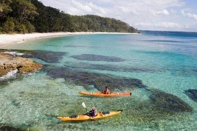 Disfruta del agua turquesa de jervis bay en kayak, avista delfines y focas, y saborea una merienda con pastel y fruta. incluye todo el equipo de kayak.