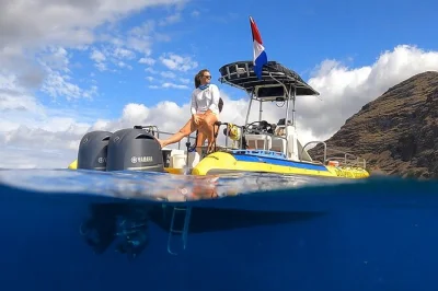 Découvrez la côte ouest d’oahu, observez les dauphins sauvages depuis un petit bateau, faites du snorkeling avec les tortues, et profitez d’un déjeuner inclus avec prise en charge à l’hôtel