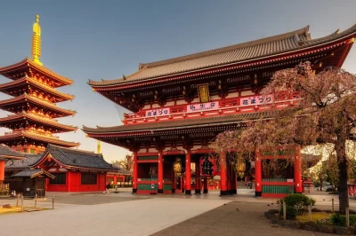 Découvrez les temples, marchés et lieux emblématiques de tokyo en une journée en voiture privée. prise en charge à l’hôtel, chauffeur anglophone et itinéraire flexible. réservez votre tour 