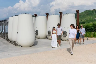 Descubra valdobbiadene com uma degustação de prosecco cartizze, passeio por vinhedos orgânicos, visita à adega e petiscos locais, tudo com guia e entrada inclusa.