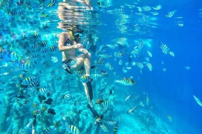 Swim with turtles, see gili meno’s underwater statues, and relax over lunch on a private snorkeling tour from gili trawangan. includes pickup and all gear.