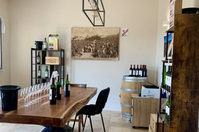 Step into the family-run château saint-georges in saint-emilion for a guided vineyard walk, cellar visit, and tasting of grand cru classé wines. includes easy access from the village.