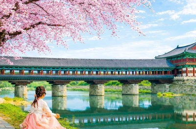 Feel the quiet of bulguksa temple, stroll gyochon hanok village, and wander ahopsan bamboo forest on a full-day trip from busan with a local guide and round-trip transport.