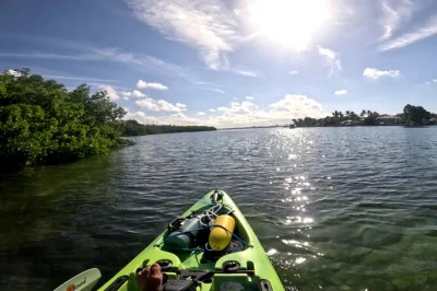 Disfruta la tranquilidad de sarasota bay en un tour en kayak de pedales en grupo pequeño. navega entre manglares, observa la fauna local y usa kayaks fáciles con guías expertos—incluye bolsas imp