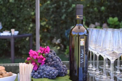 Sip sardinian wines and taste fresh olive oil inside porto conte reserve near alghero. includes 5 local wines, pecorino cheese, sausage, and a friendly guide.