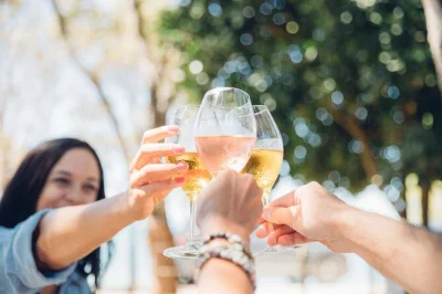 Savor waiheke island’s boutique wines, lunch at a hilltop winery, and panoramic views of auckland. includes tastings, local guide, and ferry pickup.