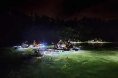 Découvrez siesta key en kayak transparent avec éclairage led la nuit—bateaux à fond de verre, collecte de coquillages et observation de la faune marine, réservation facile avec guides locaux.