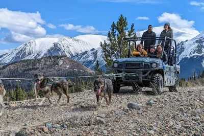Feel the wind on a summer sled dog cart in the yukon, play with husky puppies, and cross the klondike highway with a local guide—pickup from skagway cruise docks included.