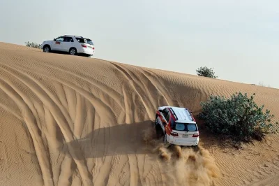 Découvrez sidi r’bat et ses grottes de pêcheurs, observez les oiseaux rares au bord de l’oued massa, et savourez un déjeuner berbère près de l’atlas — transfert inclus.