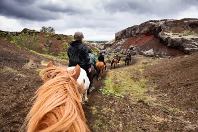Découvrez les chevaux islandais près de reykjavik, explorez des champs de lave millénaires avec un guide local, et profitez de la prise en charge à l’hôtel ainsi que des vêtements chauds inclu
