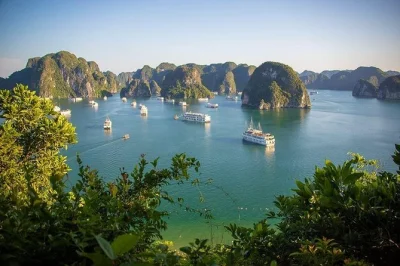Disfruta un crucero de día en la bahía de halong con caminata en la isla ti top, exploración de la cueva de la sorpresa y almuerzo vietnamita fresco. incluye recogida en hotel.
