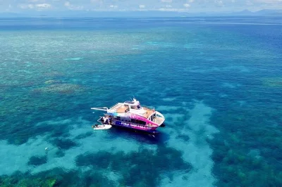 Desde cairns, vive la emoción de llegar rápido a la gran barrera de coral, snorkel con biólogos marinos y disfruta de un tour de medio día sin aglomeraciones con equipo y snacks incluidos.