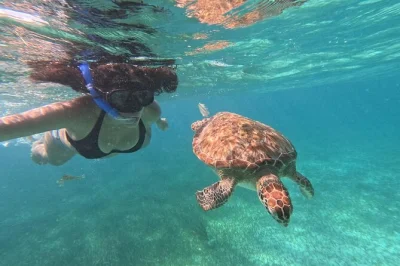 Mahahual, snorkeling tra tartarughe e pesci tropicali con guida locale. relax in beach club incluso, attrezzatura, foto gopro e rientro facile al porto.